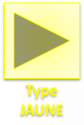 Type JAUNE